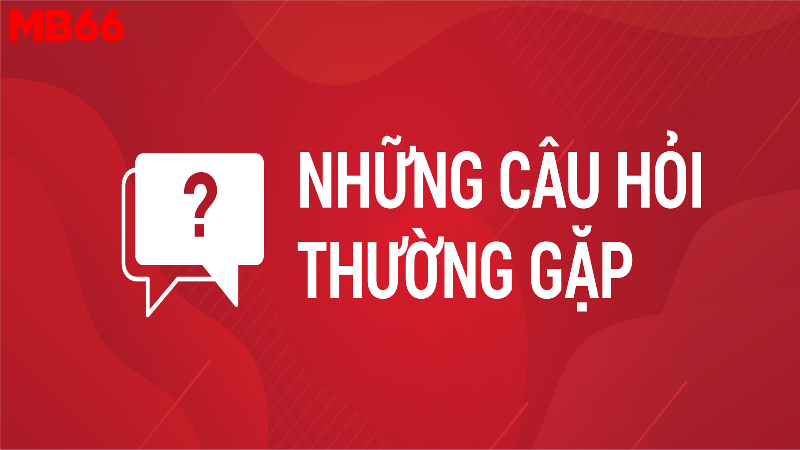 cau-hoi-thuong-gap-anh-dai-dien